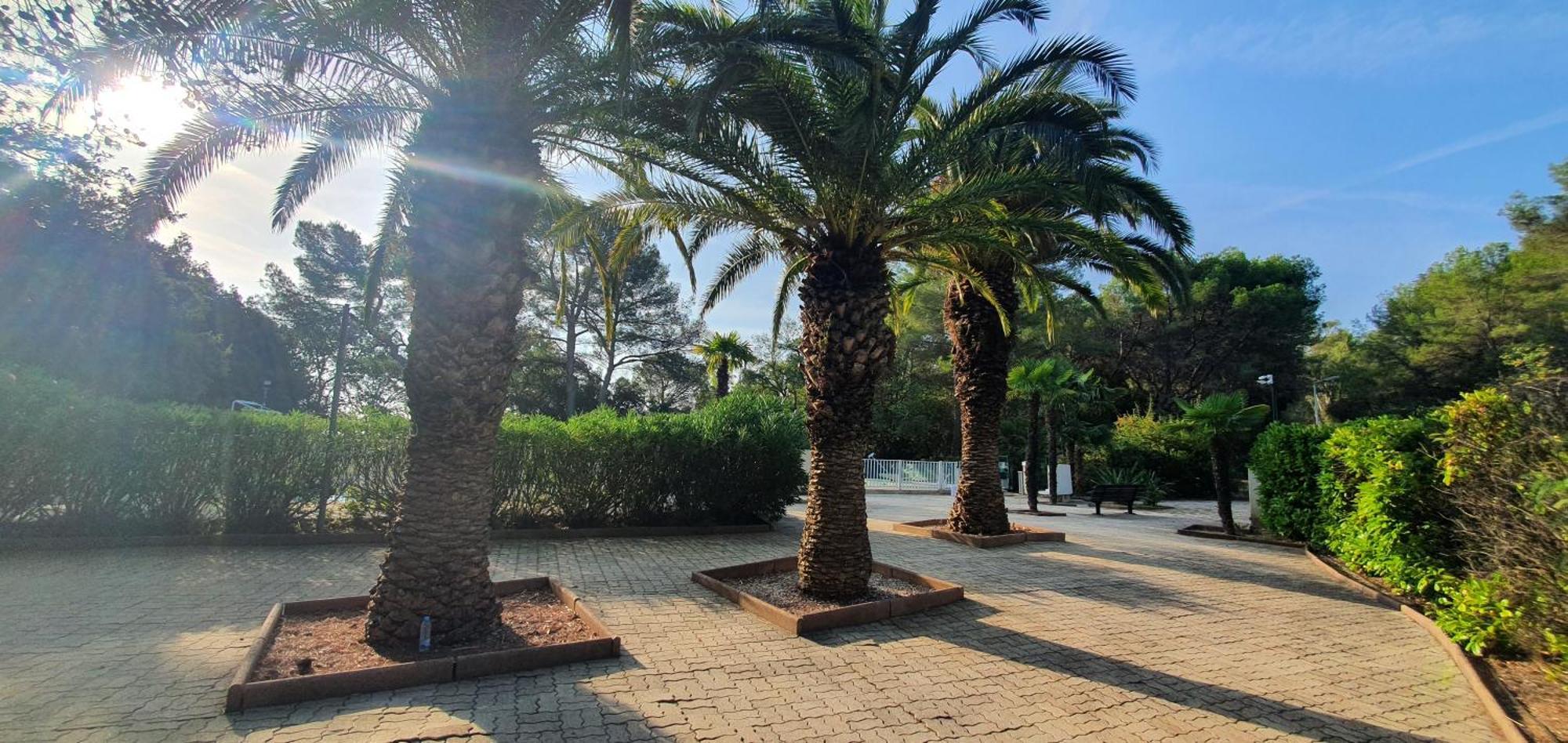 Villa Harmony Vallauris Εξωτερικό φωτογραφία